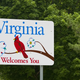 Illustration for article titled Let the Virginians Fuck